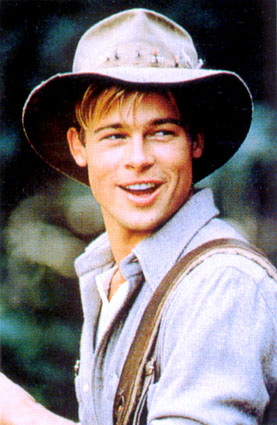 Brad Pitt picture